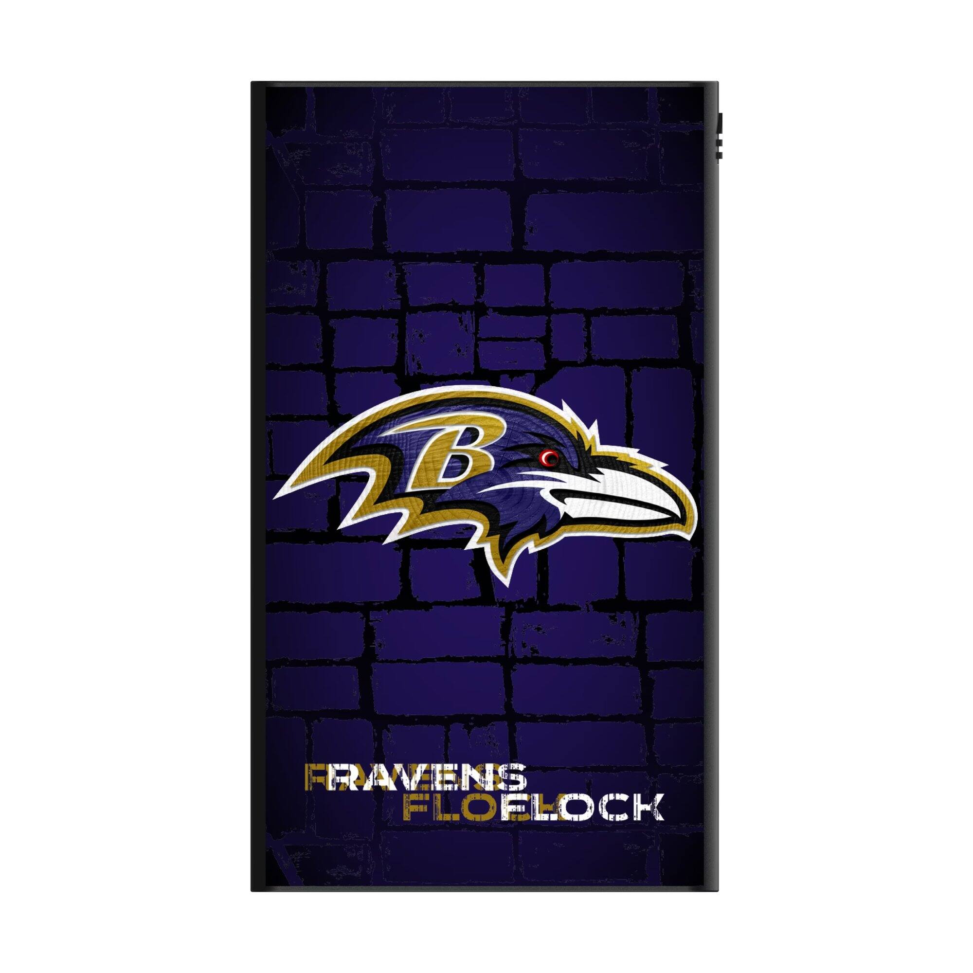 B Ravens Flock