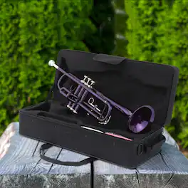 Winado - Bb Standard Trumpet for Beginners,Trumpet for Student with Hard Case,7C Mouthpiece,Cleaning Cloth,Gloves,Brass Instrumen - Purple