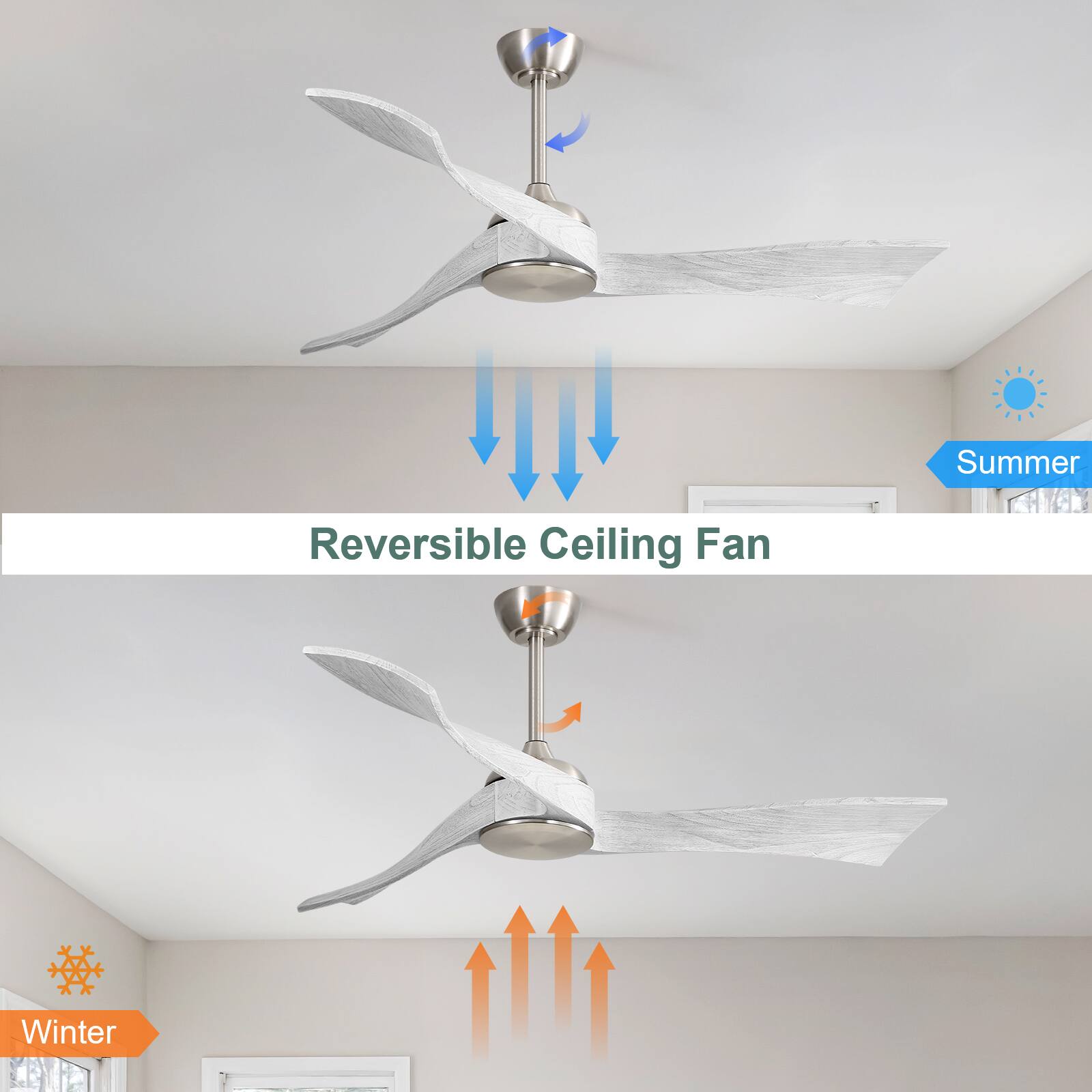 Reversible Ceiling Fan

Summer

Winter