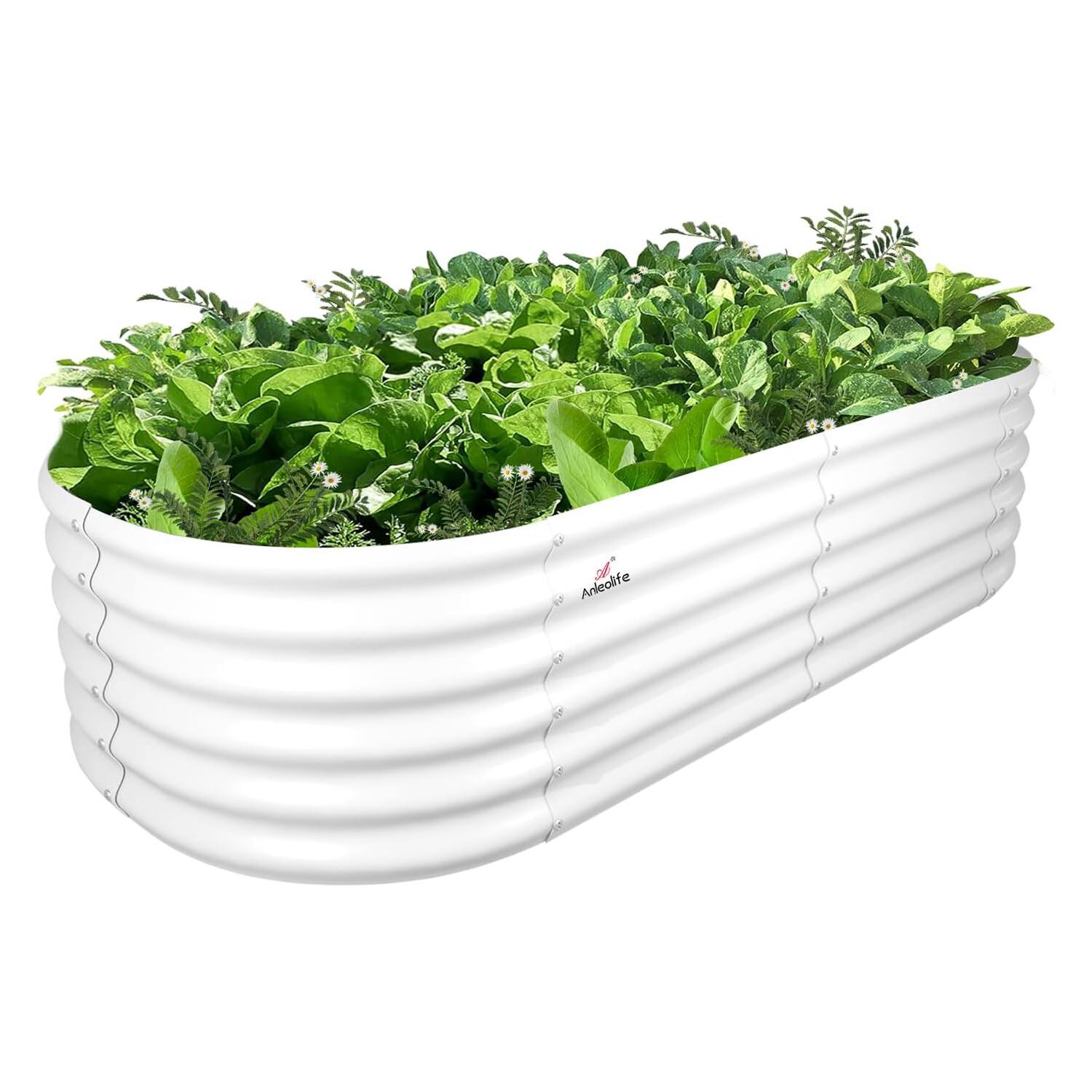 Front. A Anleolife - White Metal Oval Raised Garden Bed Planter Box for Planting Vegetables Flowers Herb (72 in. L x 24 in. W x 18 in. H) - White.