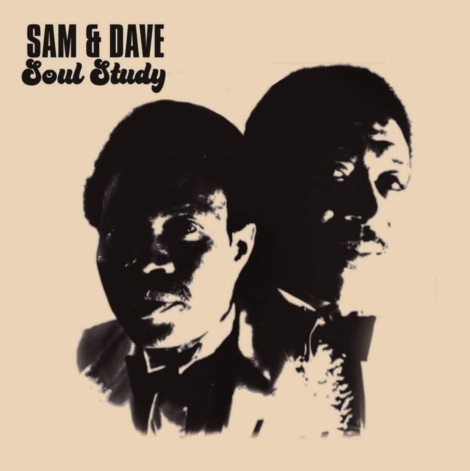 Sam & Dave - Soul Study: The Nashville Sessions   - COMPACT DISCS [CD]