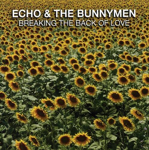 ECHO & THE BUNNYMEN  
BREAKING THE BACK OF LOVE