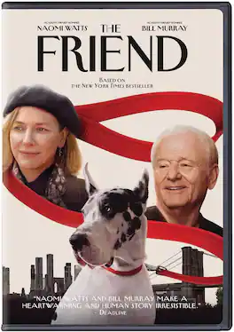 The Friend - DVD