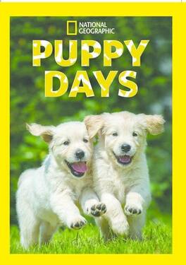 Puppy Days S1 - DVD