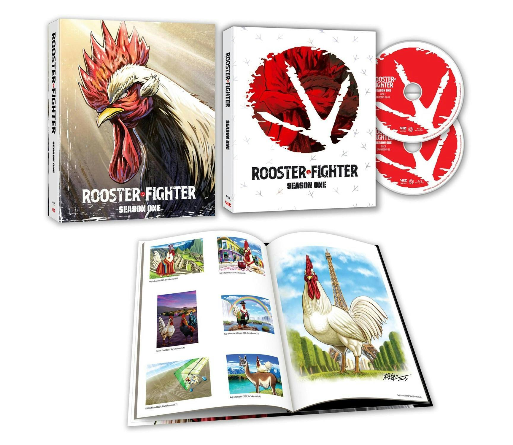 Angle. Rooster Fighter: Season 1 (Steelbook)   - BLU-RAY.