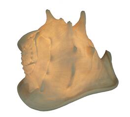 Zeckos - Faux Helmet Shell Decorative Coastal Art Accent Lamp - White