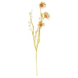 BreeBe - Wispy Daisy & Dried Grass Spray - Multicolor
