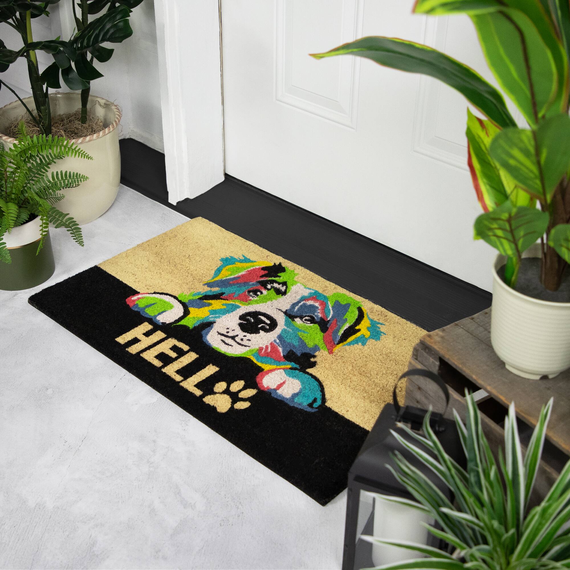 Alt View 2. Northlight - Ivory and Black "Hello" Multicolor Dog Outdoor Coir Doormat 18" x 30" - Multi.