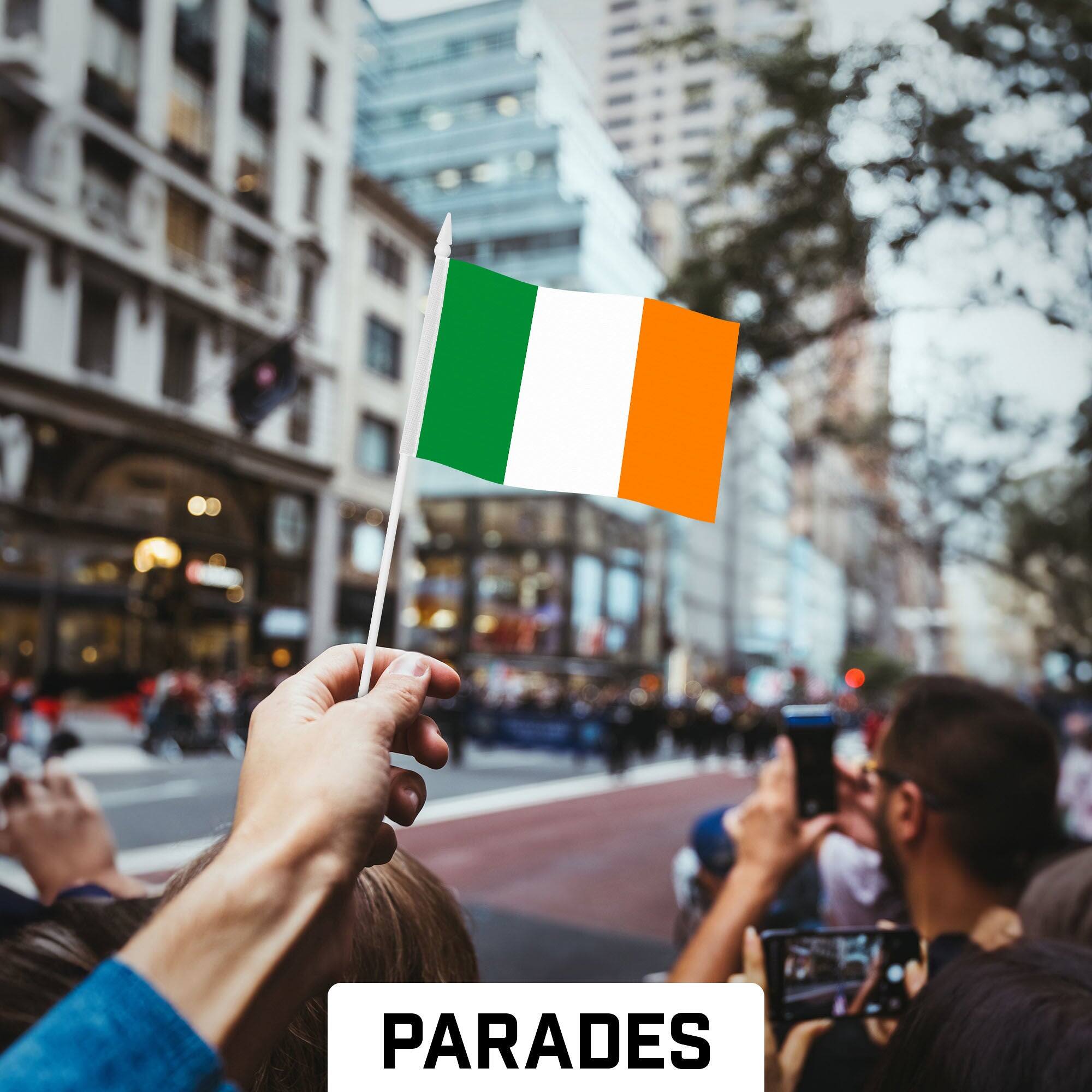 Back. G128 - 24-Pack Handheld Ireland Stick Flags 4x6 in Printed 150D Polyester - Assorted Colors.