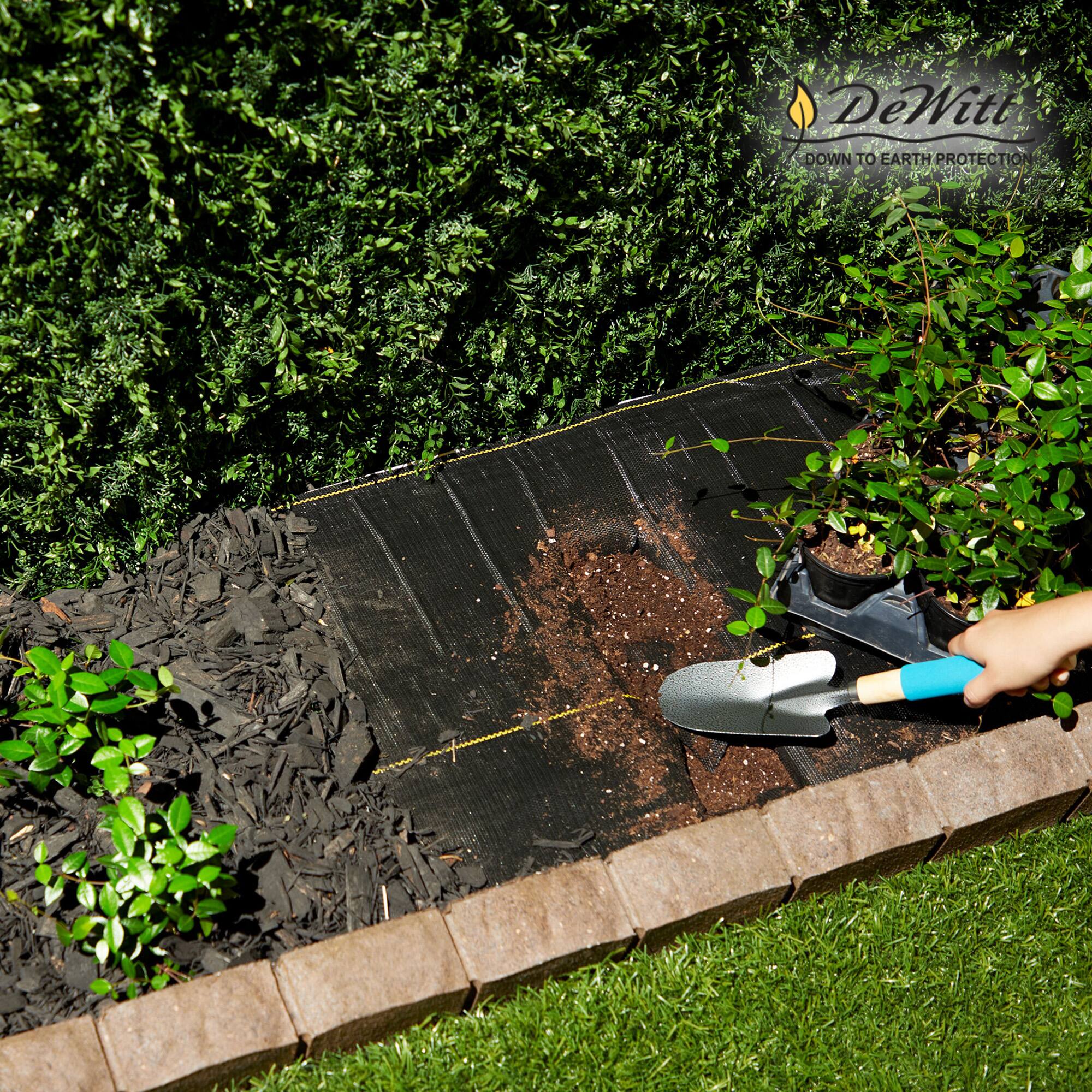 DeWitt  
DOWN TO EARTH PROTECTION