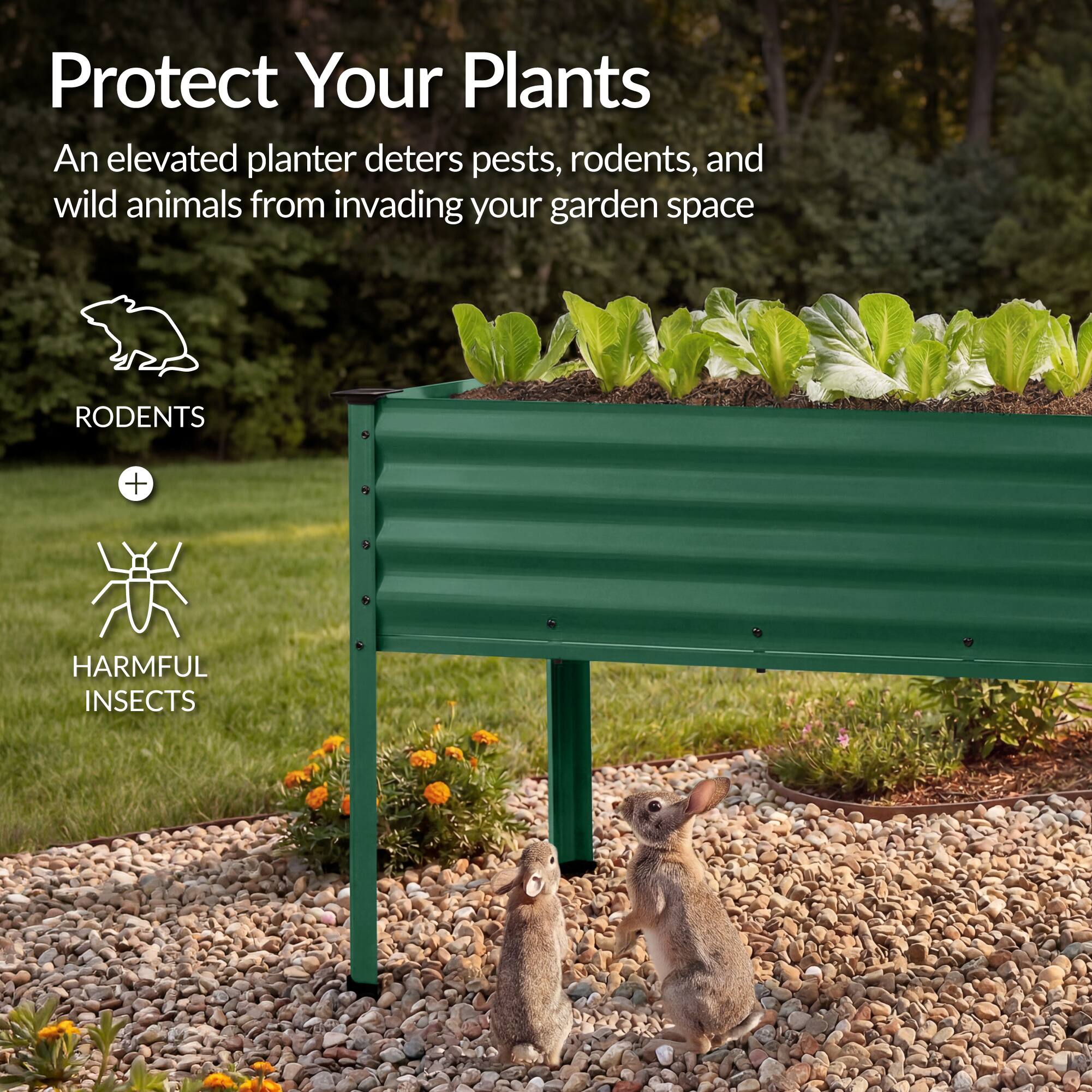 Protect Your Plants

An elevated planter deters pests, rodents, and wild animals from invading your garden space

RODENTS + HARMFUL INSECTS