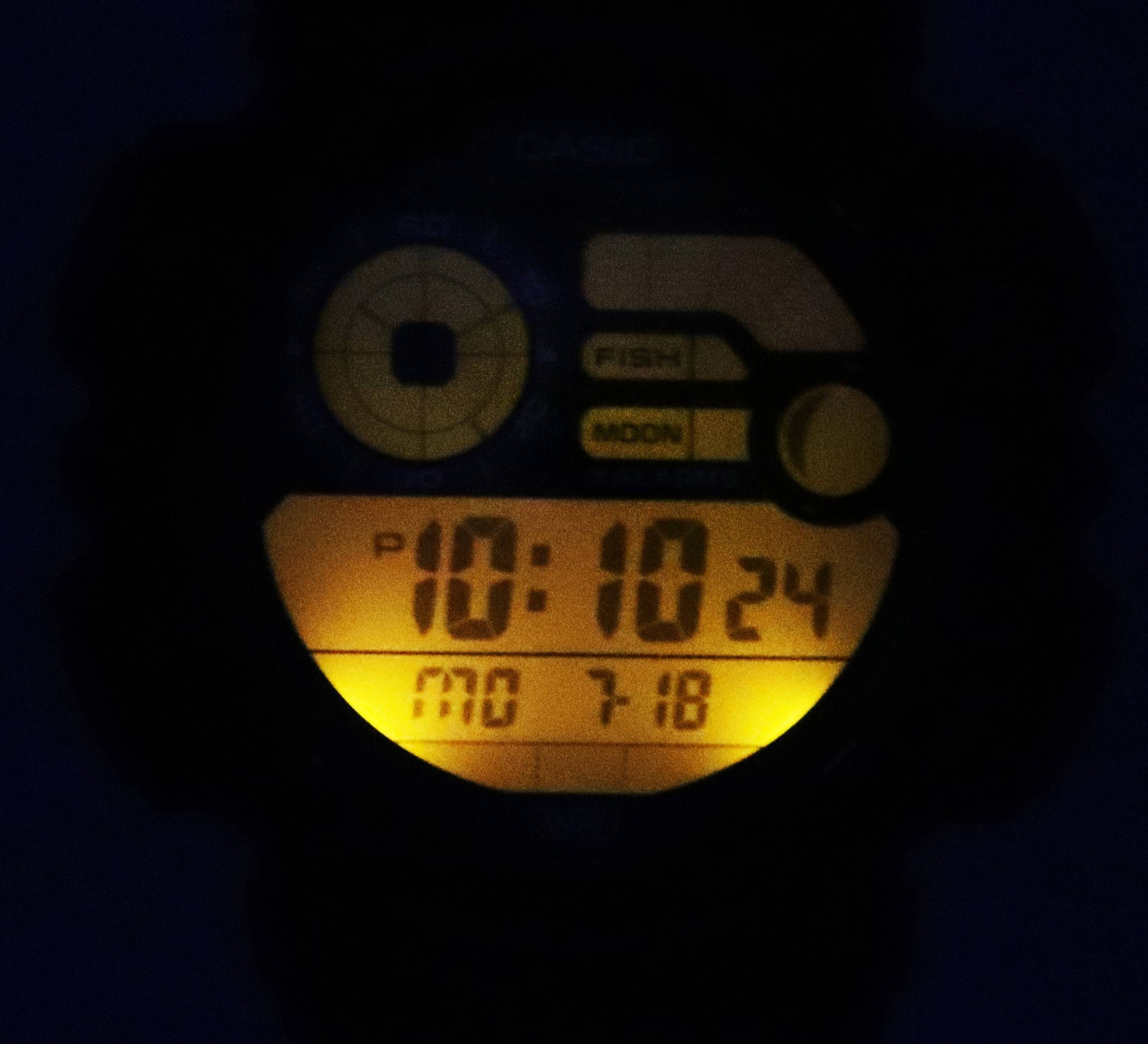 GASKO  
FISH MOON  
P 10:10 24  
MO 7 18