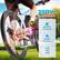 350W Powerful Brushless Motor
20MPH Max Speed
750W Peak Power
30° Uphill
