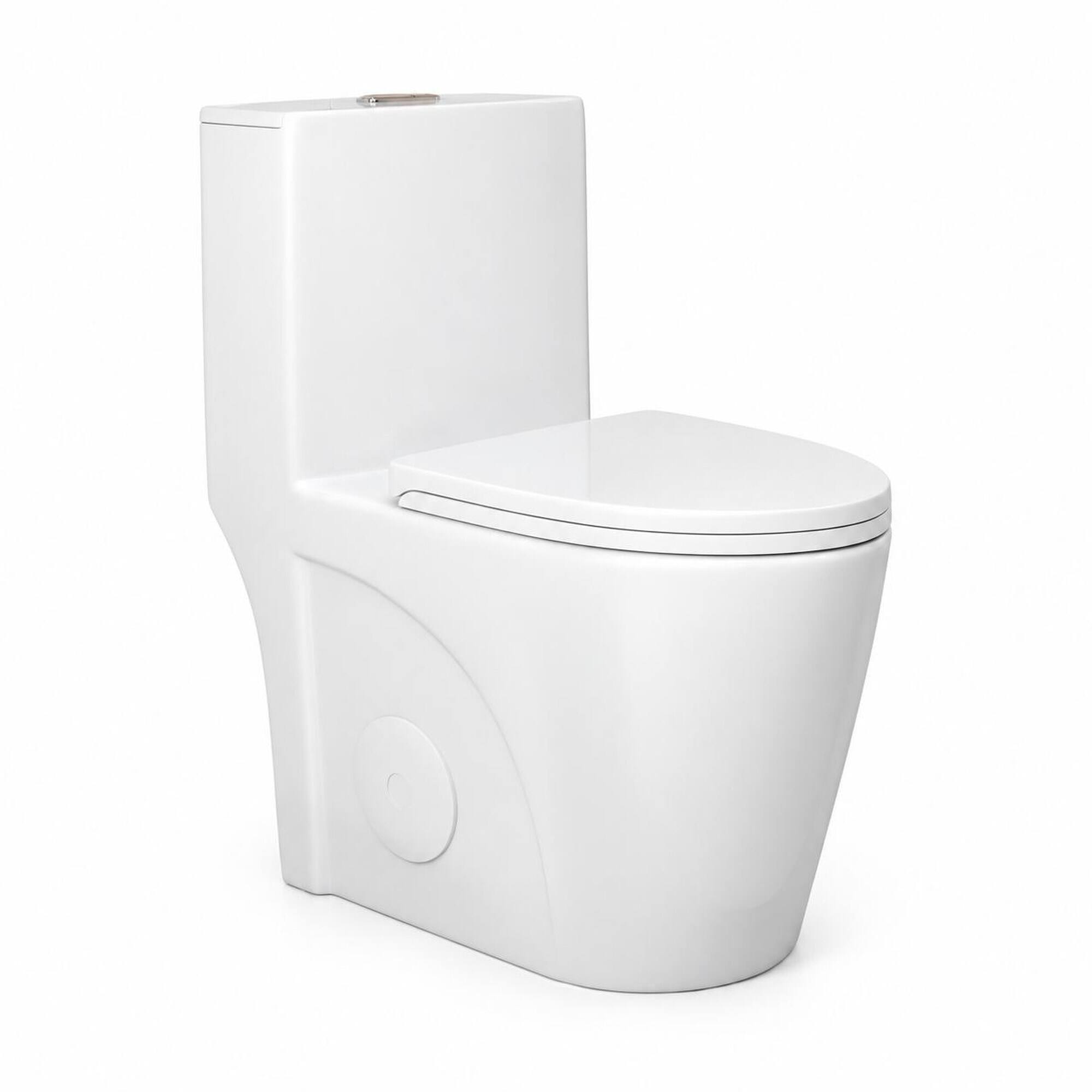 Front. RYHNUYNE - One Piece Toilet, Dual Flush Elongated Comfort Height Soft Close Seat 12 Inch Rough In 1000 Gram Flush - Gloss White.