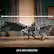 25.5-INCH WINGSPAN