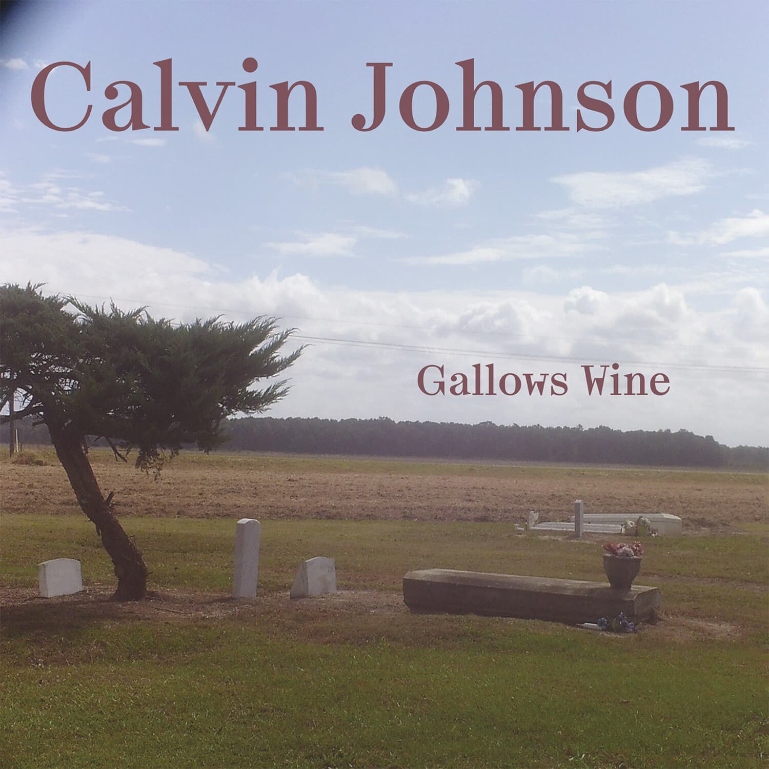 Calvin Johnson - Gallows Wine   - CASSETTES price history on PriceWatchPro