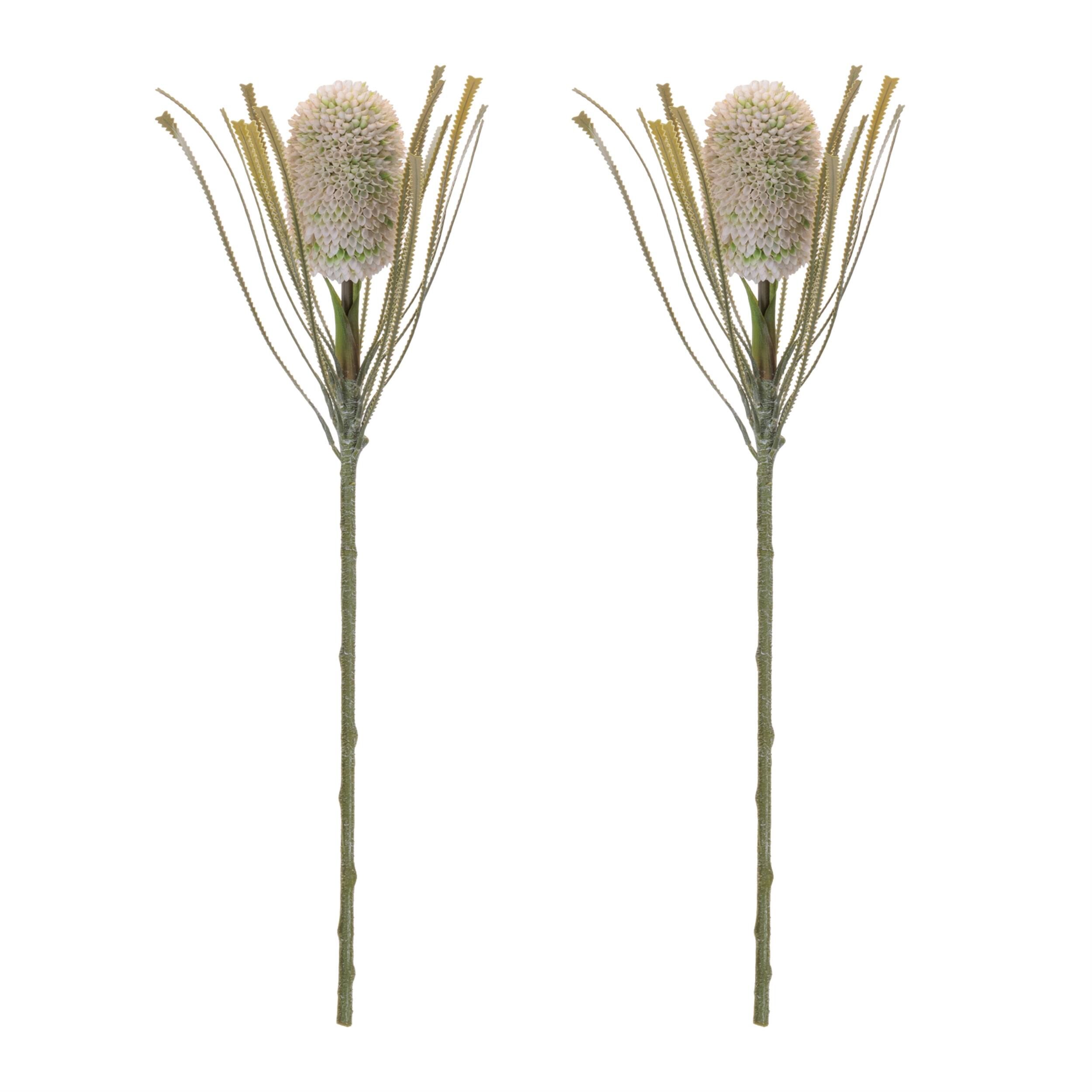 Angle. BreeBe - Protea Floral Stem (Set of 2) - Green.