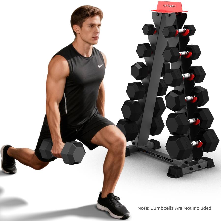 HARISON - High-End A-Frame Dumbbell Rack Stand, 6-Tier Weight Rack for Dumbbells Home Gym 480LB Weight Capacity (BB325) - Black