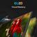 QLED
Visual Mastery
