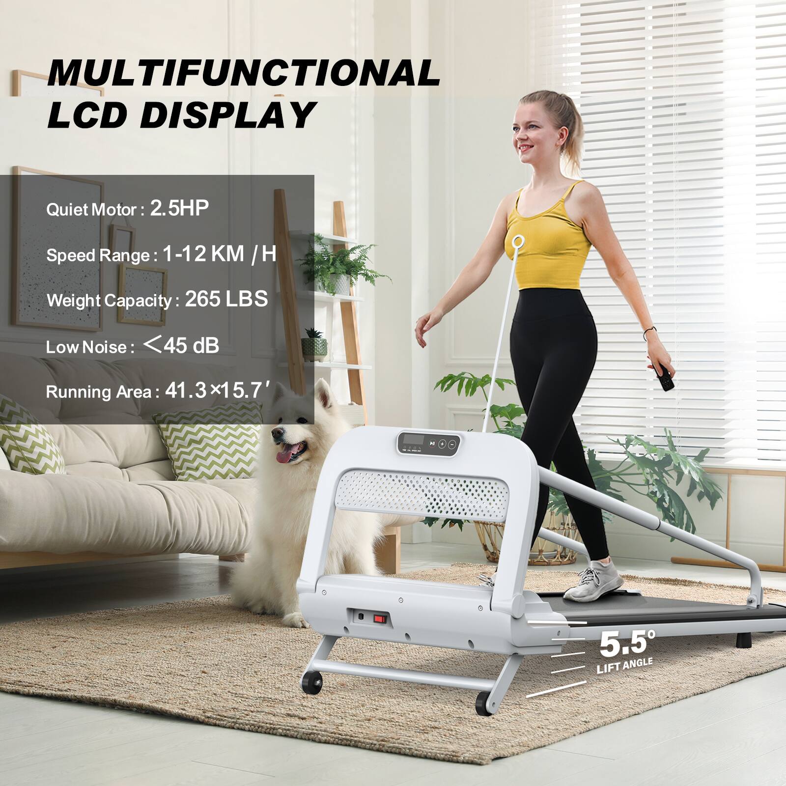 MULTIFUNCTIONAL LCD DISPLAY

Quiet Motor: 2.5HP  
Speed Range: 1-12 KM/H  
Weight Capacity: 265 LBS  
Low Noise: <45 dB  
Running Area: 41.3 x 15.7'  
5.5° LIFT ANGLE