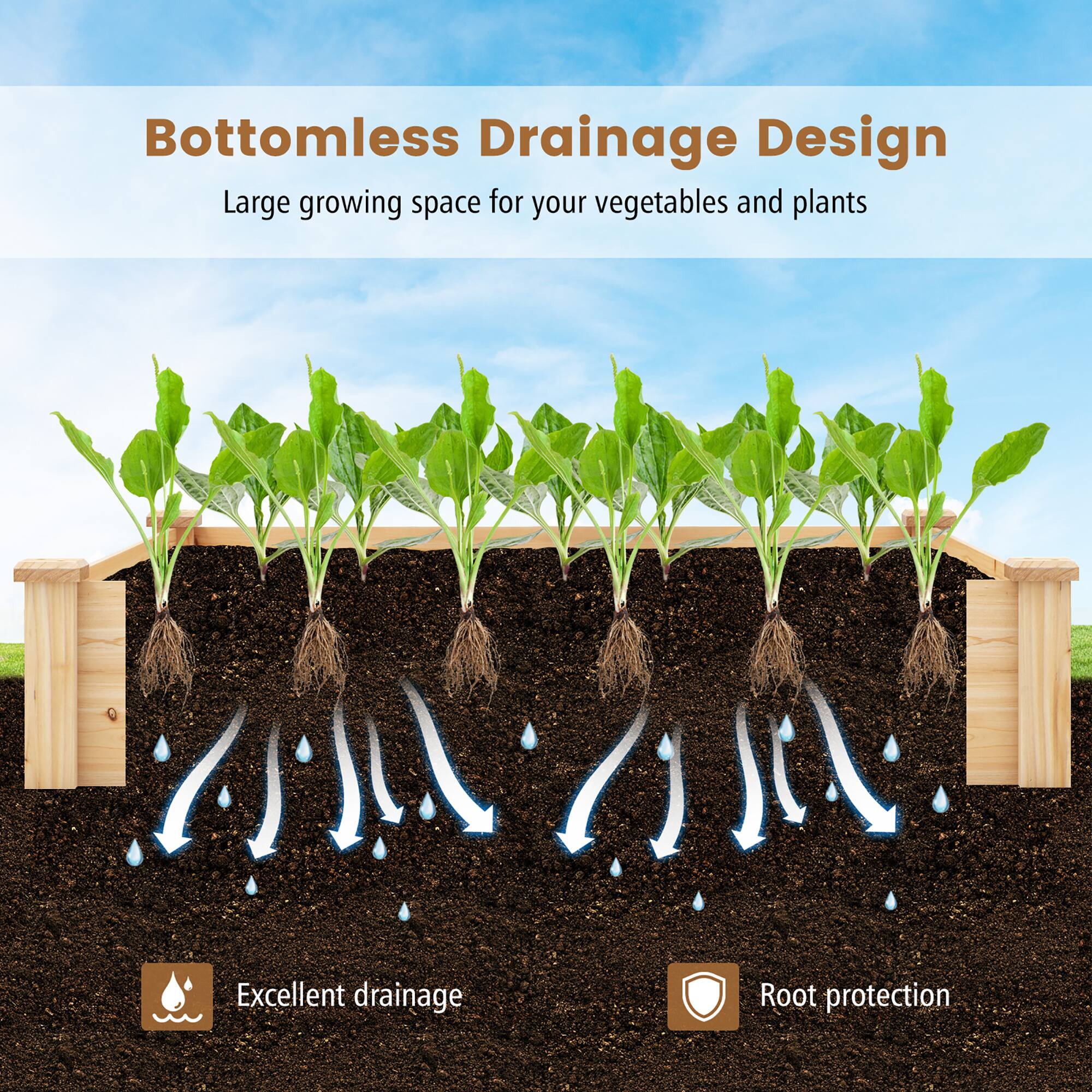 Bottomless Drainage Design  
Large growing space for your vegetables and plants  

Excellent drainage  
Root protection