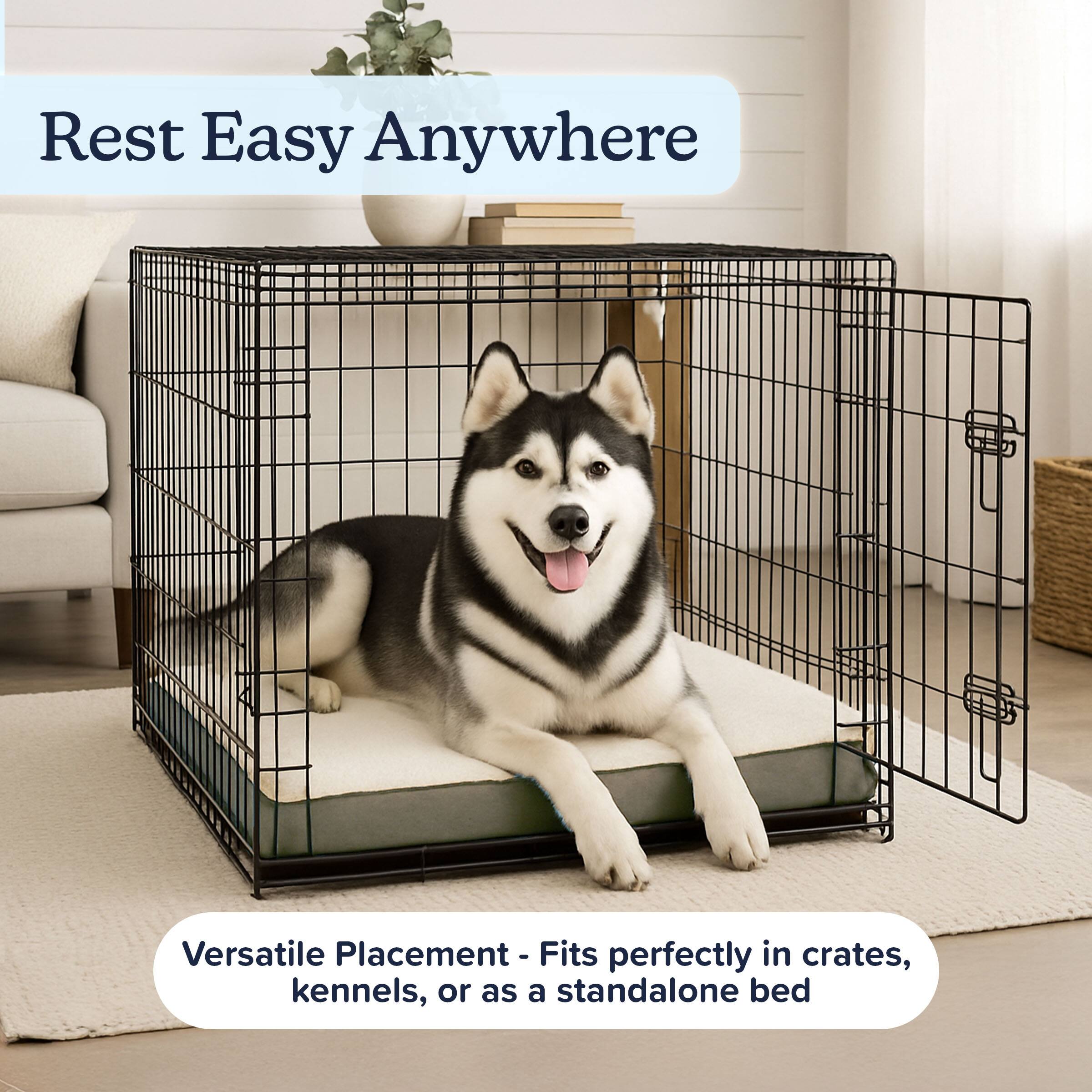 Rest Easy Anywhere

Versatile Placement - Fits perfectly in crates, kennels, or as a standalone bed