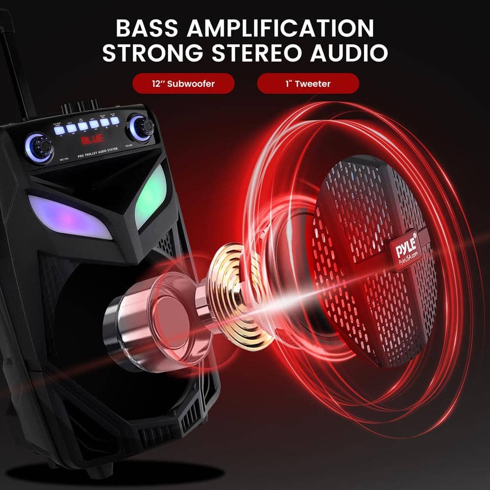 BASS AMPLIFICATION
STRONG STEREO AUDIO
12" Subwoofer
1" Tweeter
BLUE
PRO TRELLY AUDIO 311711
PYLE
PYLE66.com