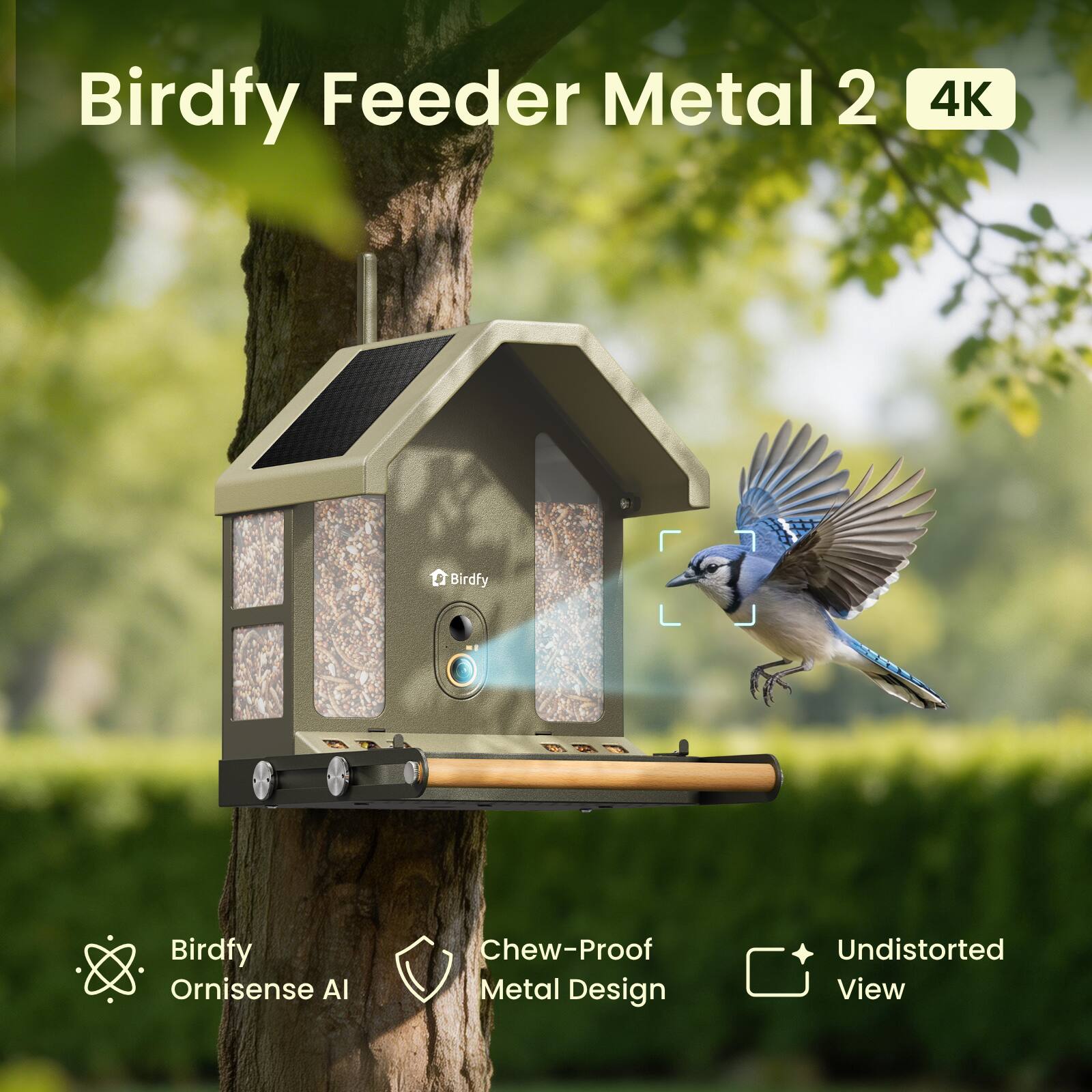 Birdfy Feeder Metal 2 4K  
Birdfy Ornisense AI  
Chew-Proof Metal Design  
Undistorted View