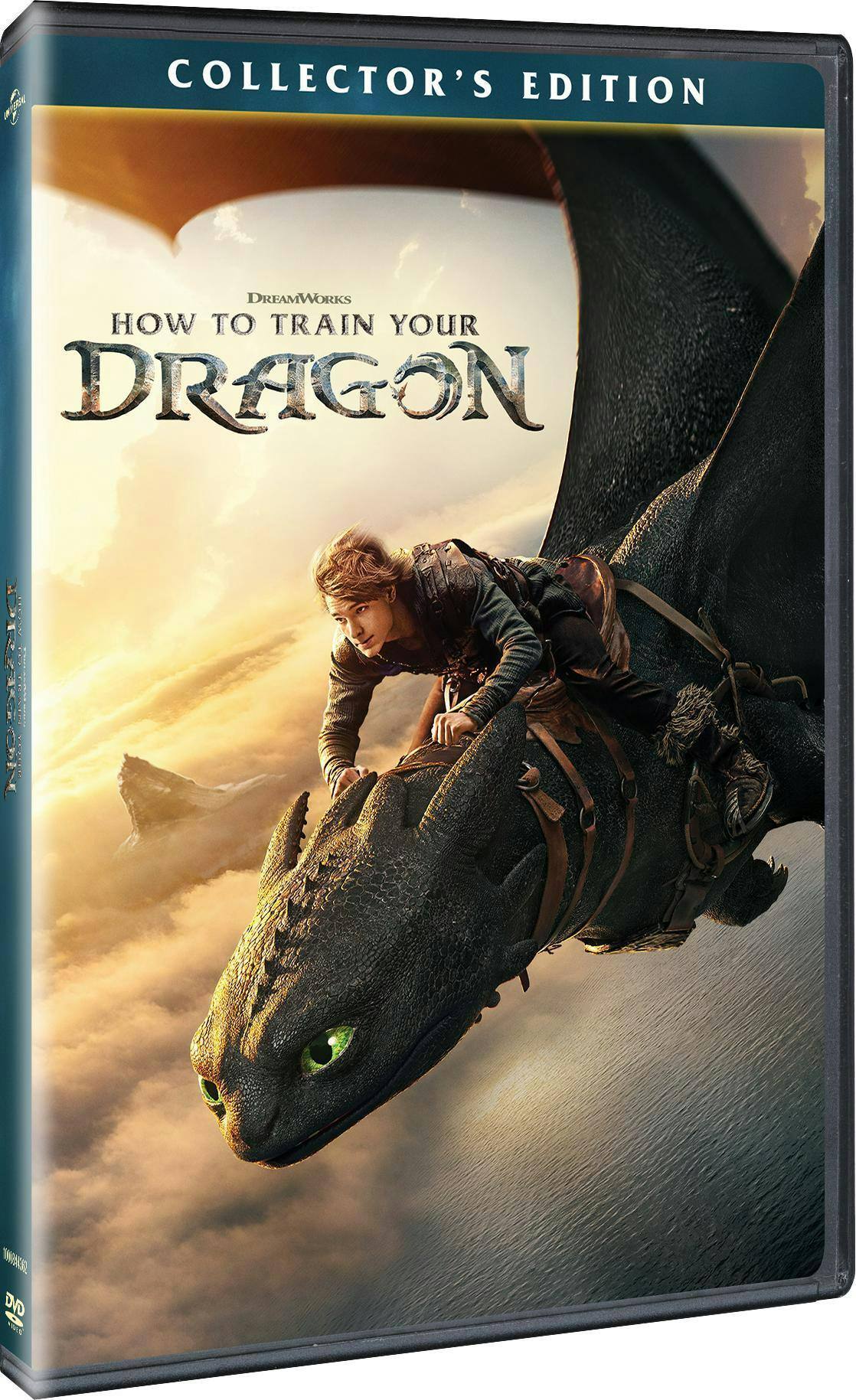 Angle. How to Train Your Dragon   - DVD.