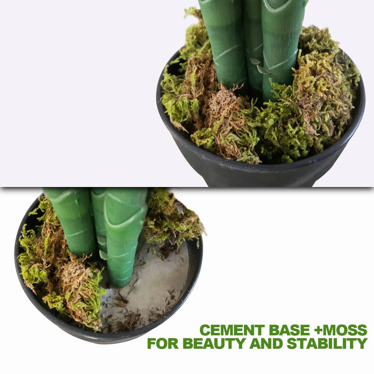 CEMENT BASE + MOSS FOR BEAUTY AND STABILITY