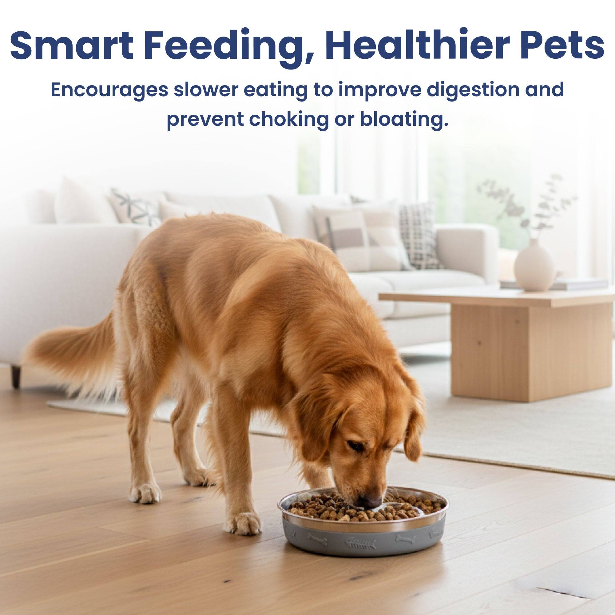 Smart Feeding, Healthier Pets  
Encourages slower eating to improve digestion and prevent choking or bloating.