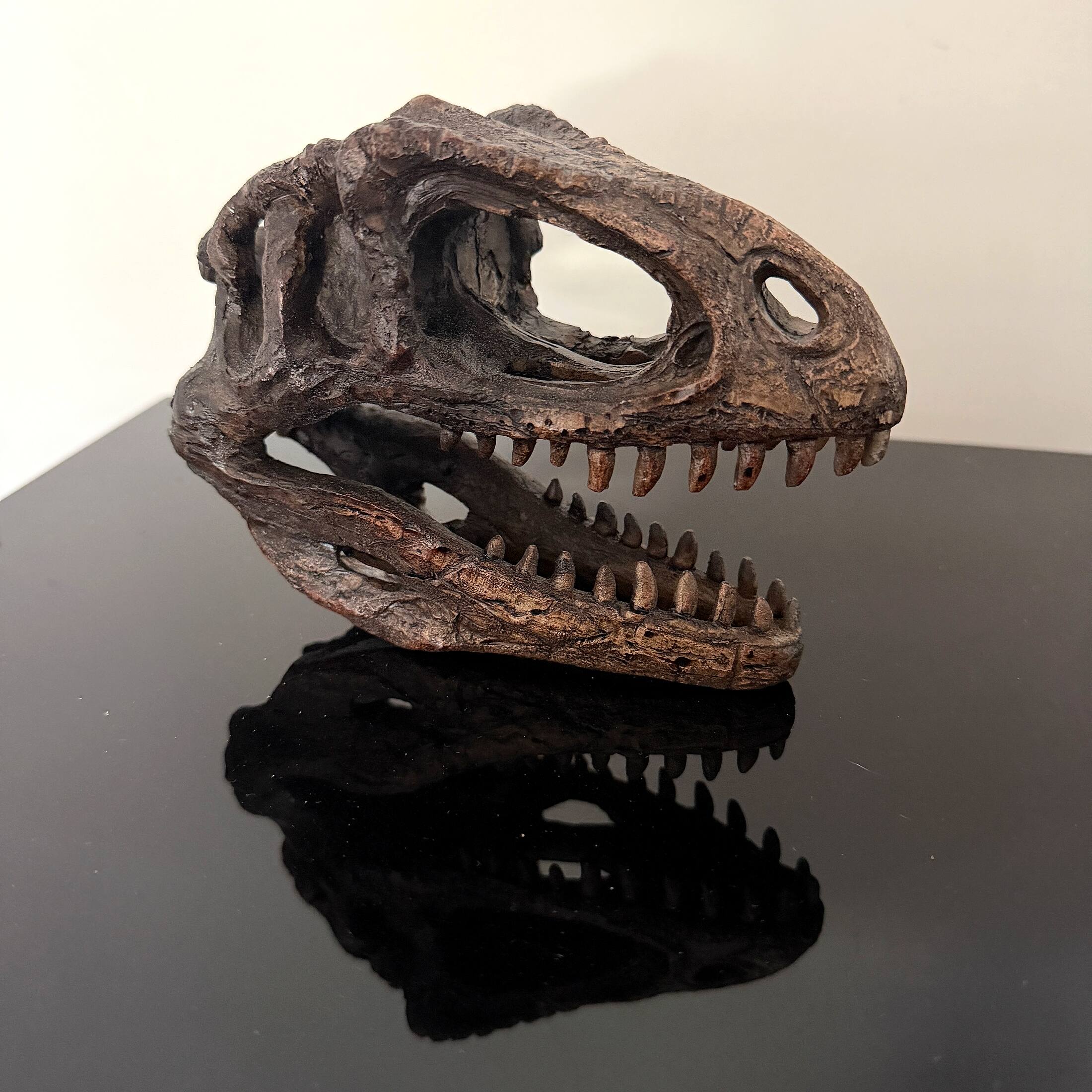 Alt View 6. Things2Die4 - Giganotosaurus Dinosaur Statue Weathered Brown Resin 6.5 Inch Tabletop Decor - Brown.