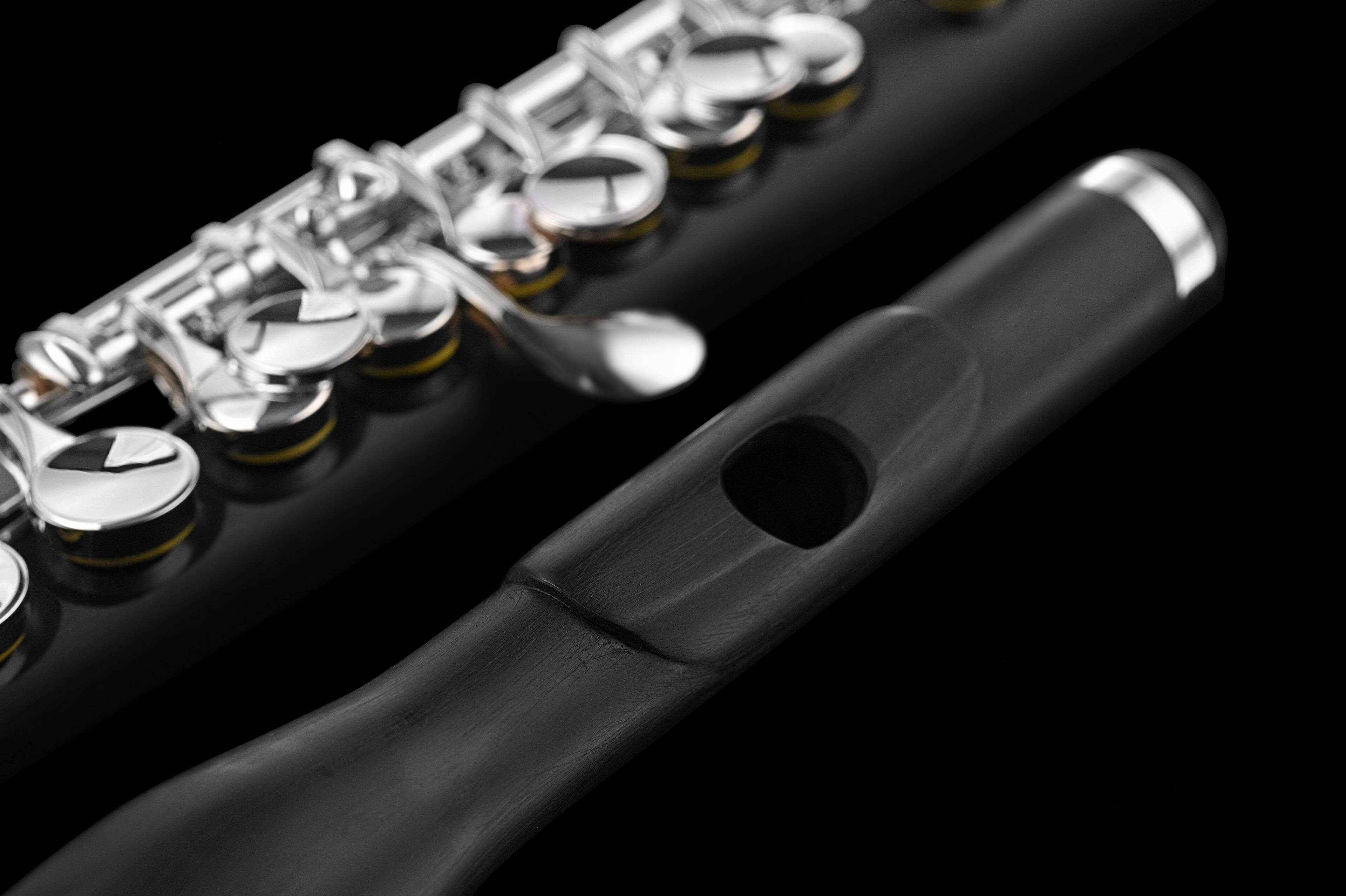 Back. Di Zhao Flutes - DZP-102 Composite Plastic-Grenadilla Piccolo - Black, Silver.