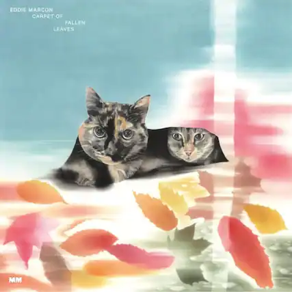 EDDIE MARCON
CARPET OF
FALLEN
LEAVES
MM