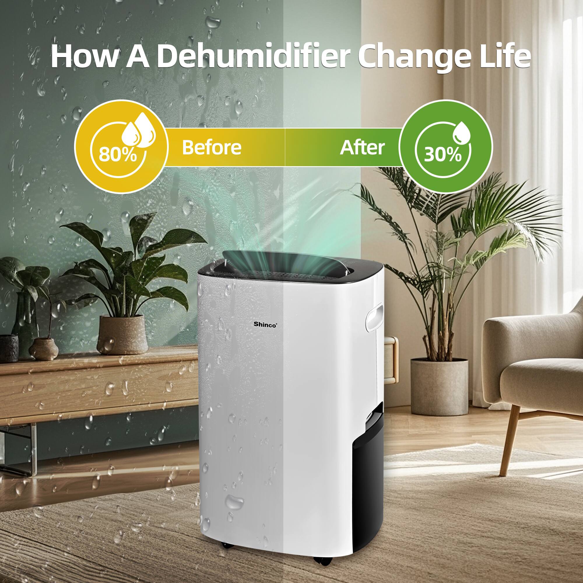 How A Dehumidifier Change Life

Before 80%

After 30%