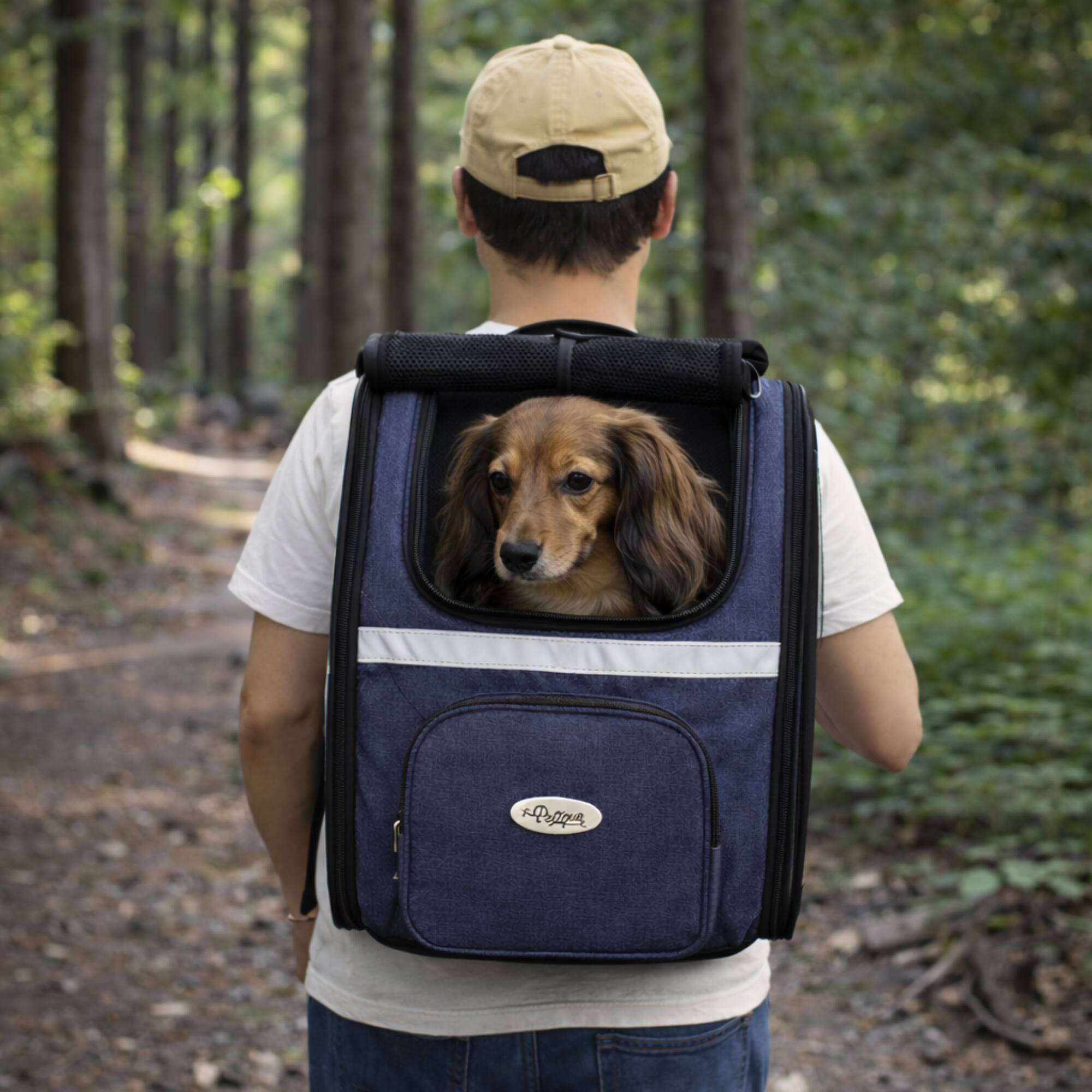 Angle. Petique - Petique Pet Backpacker, Pet Carrier for Small Size Pets, Ventilated Backpack Bag for Cats & Dogs.