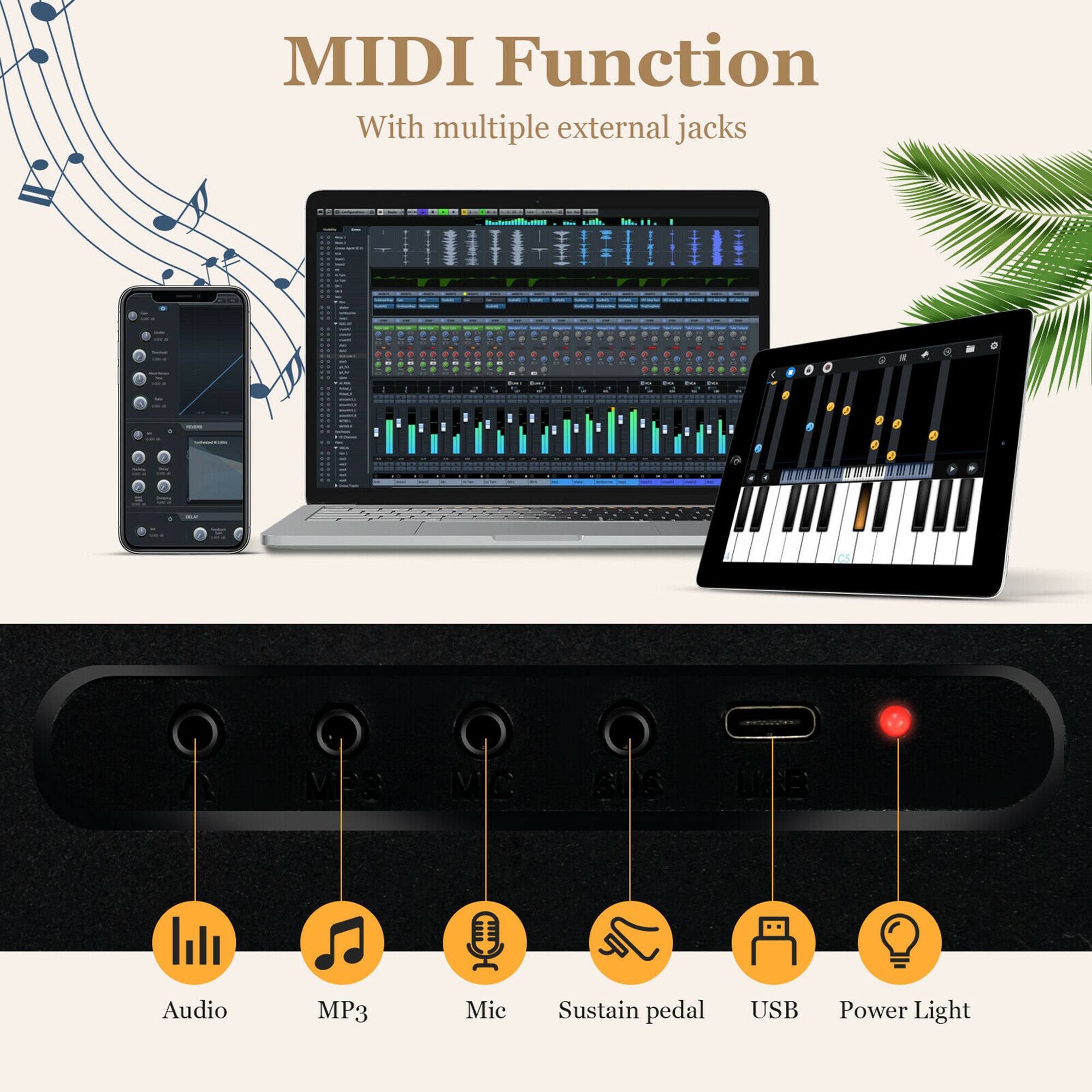 MIDI Function  
With multiple external jacks  

Audio  
MP3  
Mic  
Sustain pedal  
USB  
Power Light