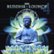 Front Standard. Buddha Lounge, Vol. 4 [CD].