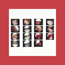 Cradle - Laughing In My Sleep (co - VINYL LP