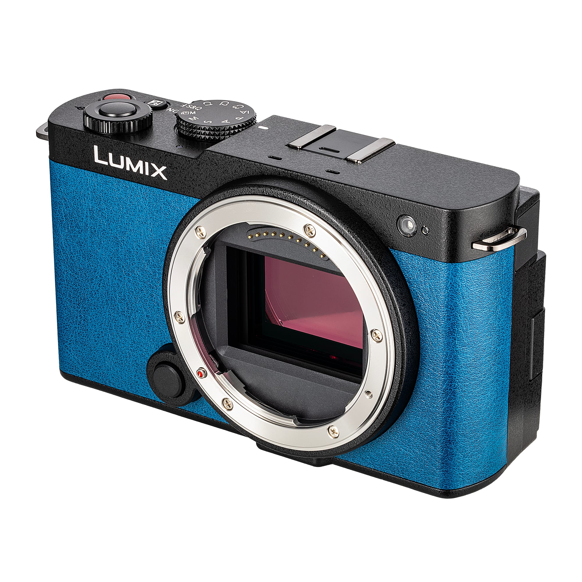 Bundle Panasonic Lumix S9 Camera (Blue), 64GB Memory Card - Best Buy
