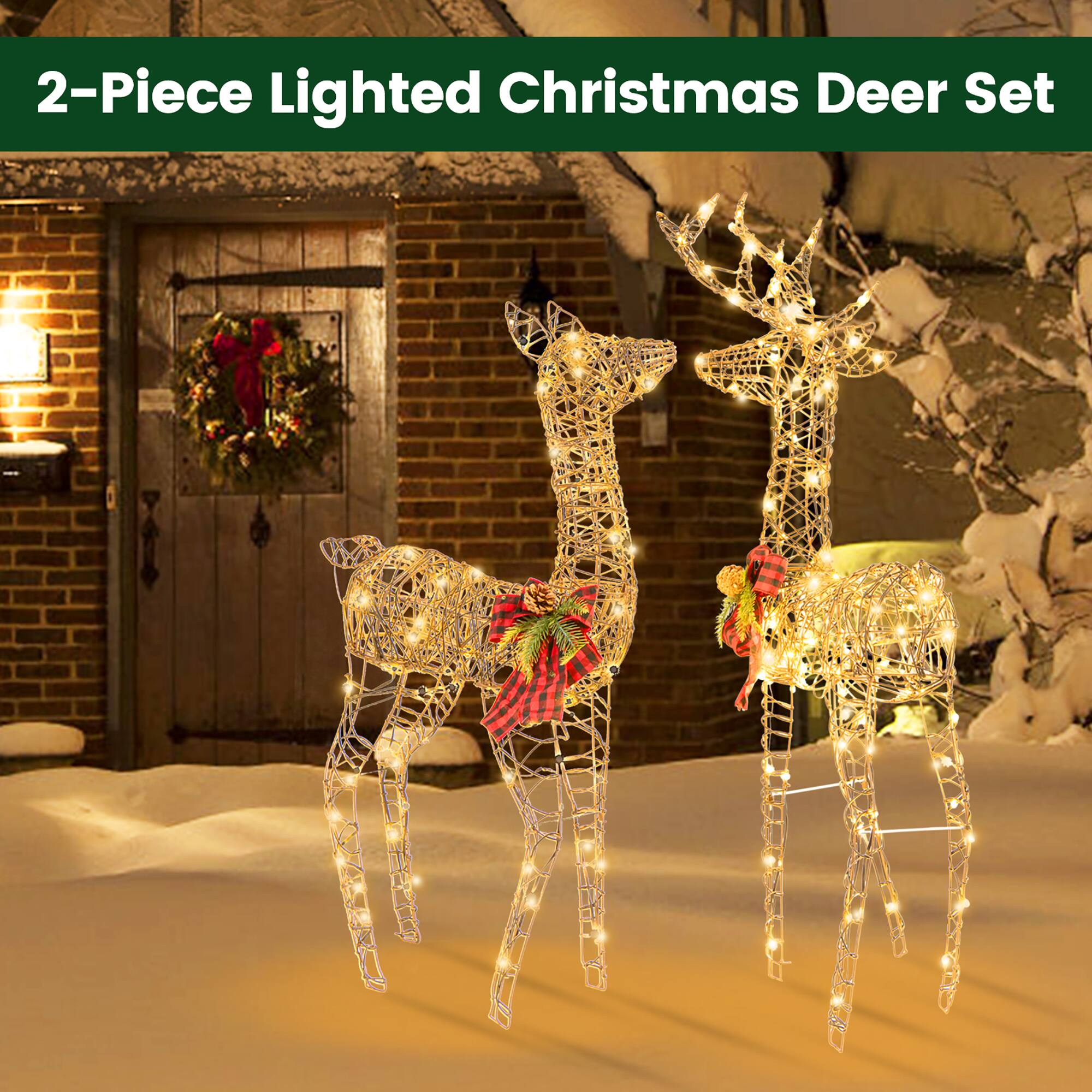 2-Piece Lighted Christmas Deer Set