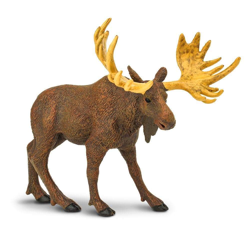 Angle. Safari Ltd. - Moose Toy Figurine.