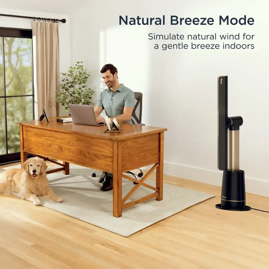Natural Breeze Mode: Simulate natural wind for a gentle breeze indoors.