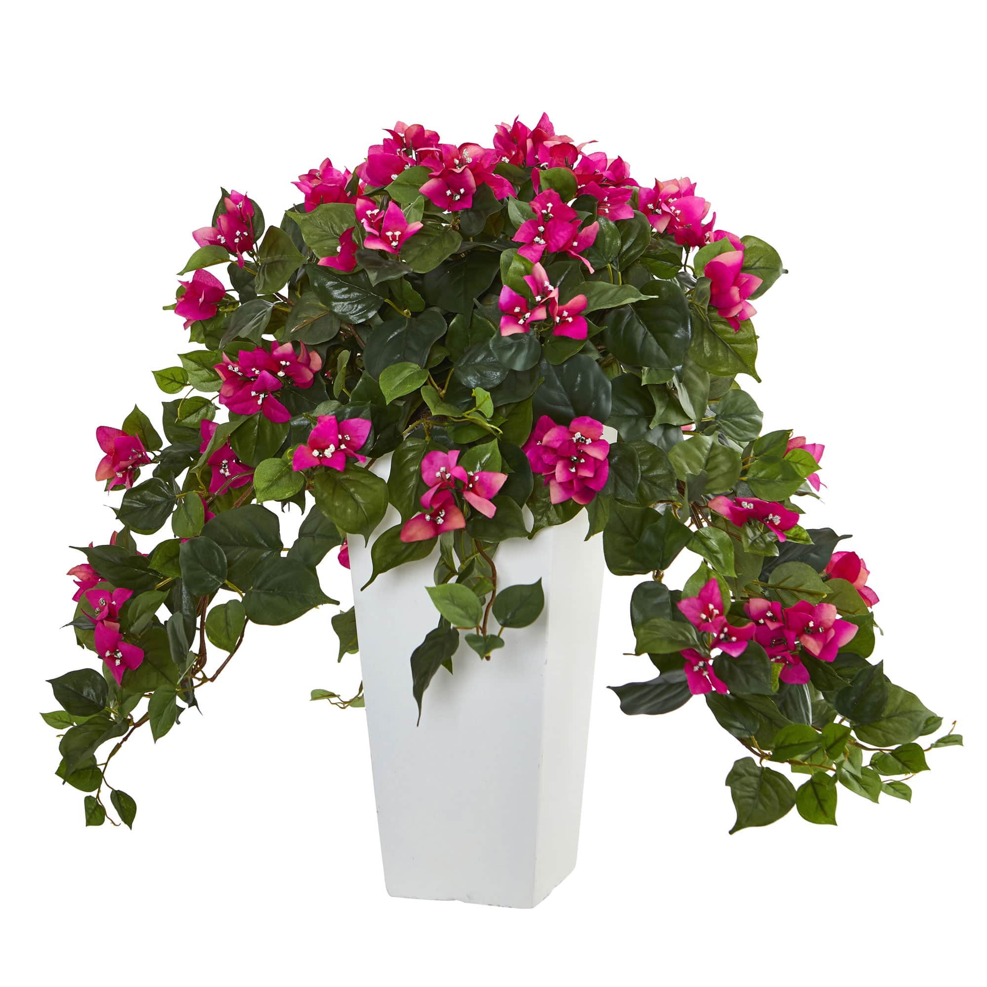 BreeBe - 23" Bougainvillea Plant in White Tower Planter - Beauty