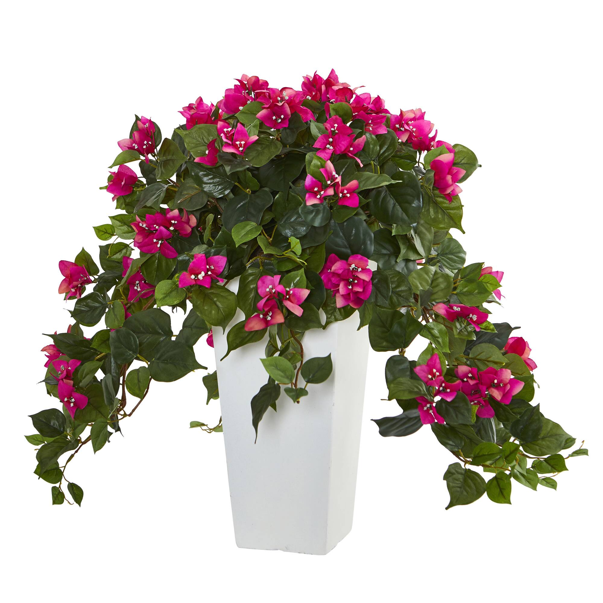 Front. BreeBe - 23" Bougainvillea Plant in White Tower Planter - Beauty.