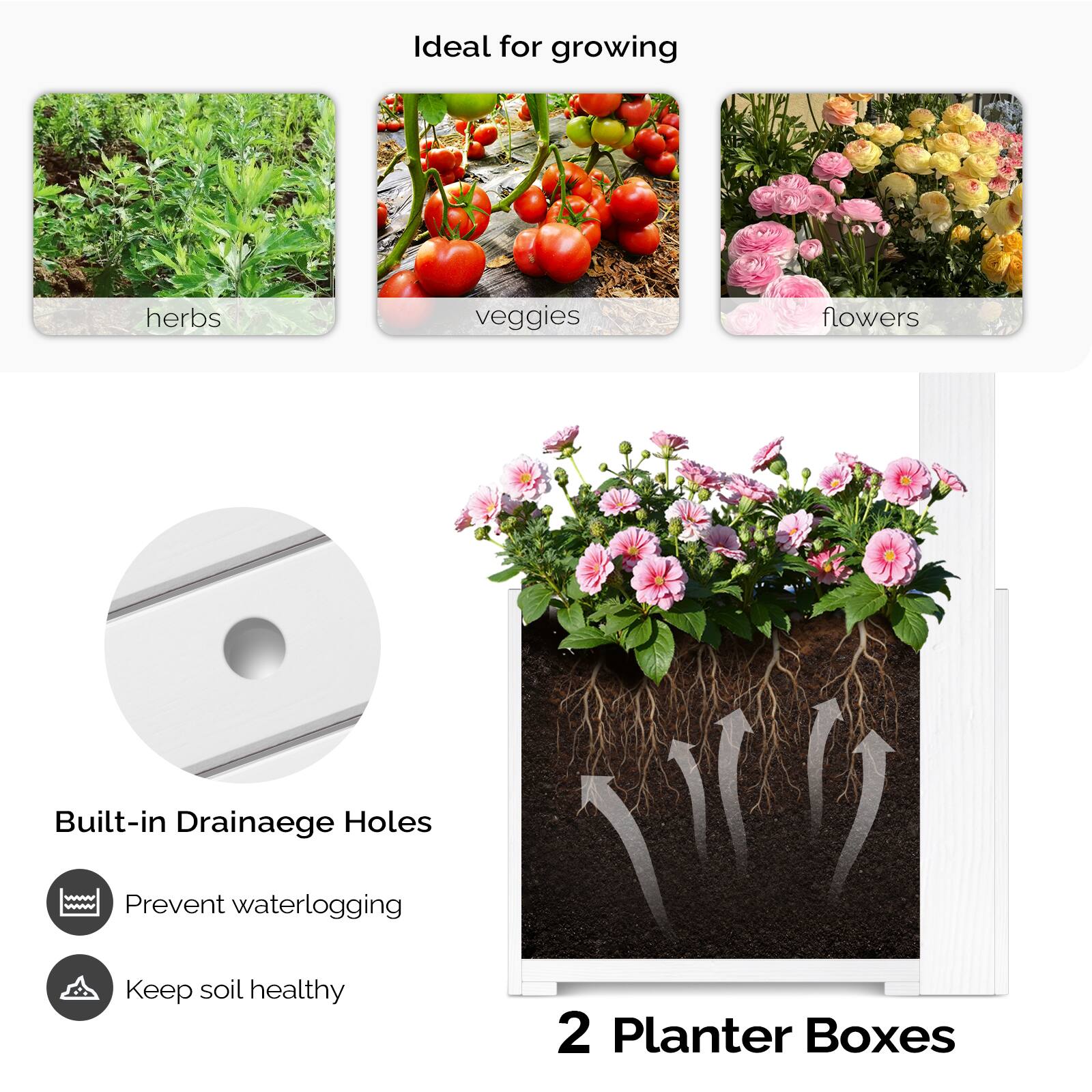 Ideal for growing

- herbs
- veggies
- flowers

Built-in Drainage Holes

- Prevent waterlogging
- Keep soil healthy

2 Planter Boxes