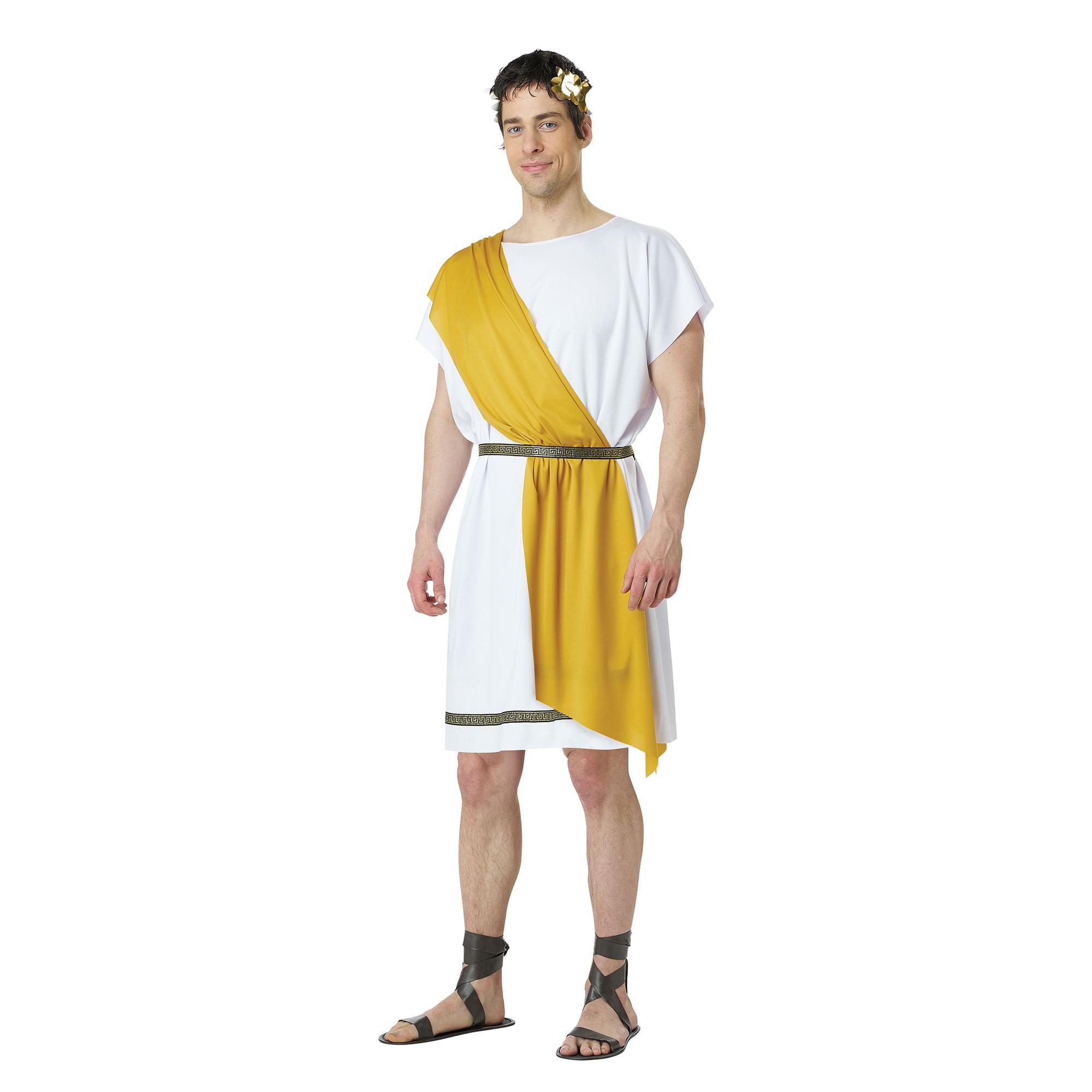 California Costumes Party Toga Adult Costume | Small/ Medium White 5224 ...