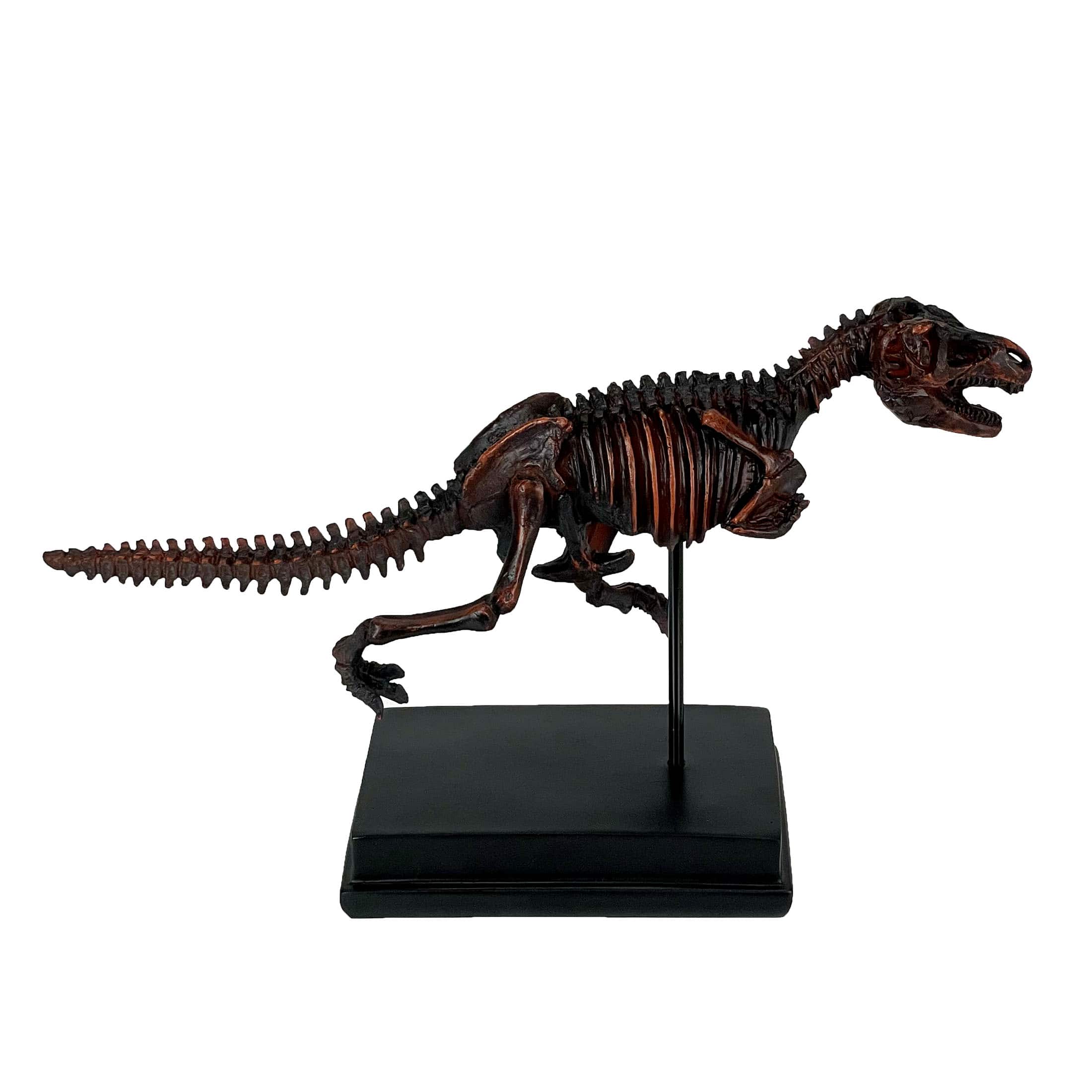 Zeckos - Tyrannosaurus Rex Skeleton Statue T-Rex on Museum Mount - Black
