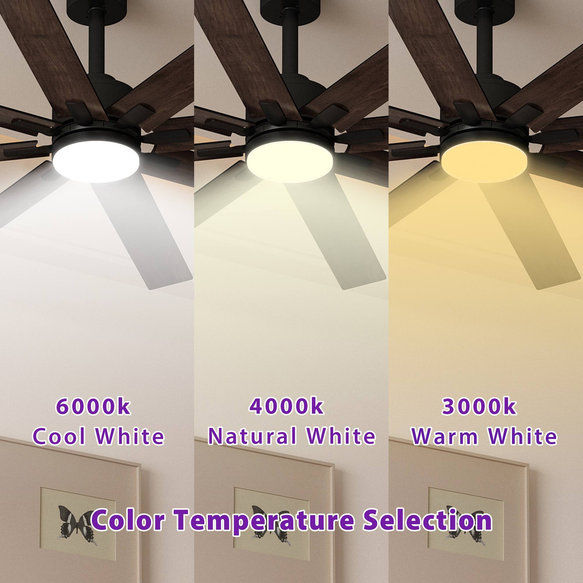 6000k 4000k 3000k
Cool White Natural White Warm White
Color Temperature Selection