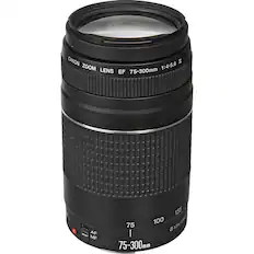 CANON ZOOM LENS EF 75-300mm 1:4-5.6
75-300mm
AF MF
135 100 75